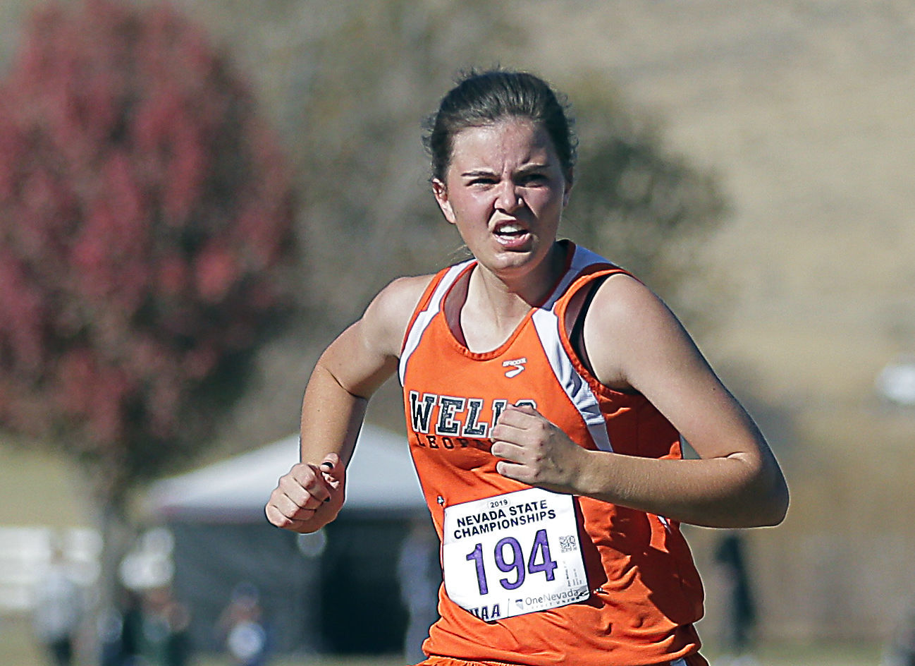 Divison 1A-2A Girls State Cross Country 17.jpg